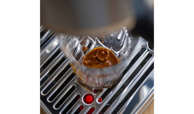 Sage SES500BTR4GUK1 Bambino Plus Espresso Coffee Machine