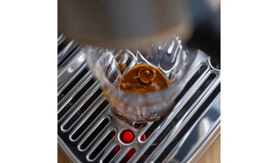 Sage SES500BSS The Bambino Plus Espresso Coffee Machine